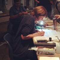 Cathy Stables, heraldic artist at West Dean College