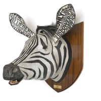 Zebra by David Farrer