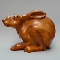 Peter Clothier: hare