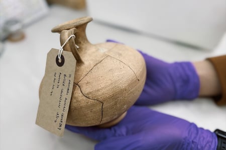 archaeological ceramics from the Novium Museum