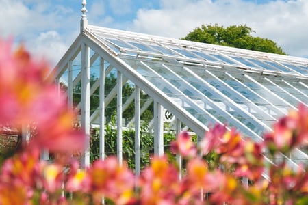 Visit West Dean Gardens in July