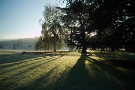 Winter Time at West Dean Gardens
