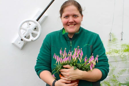 Laura Griffin Hughes, Gardener