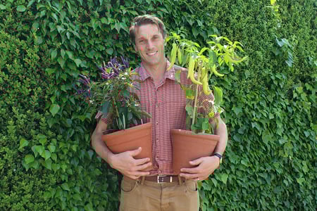 West Dean Gardens Head Gardener Tom Brown holding chillies