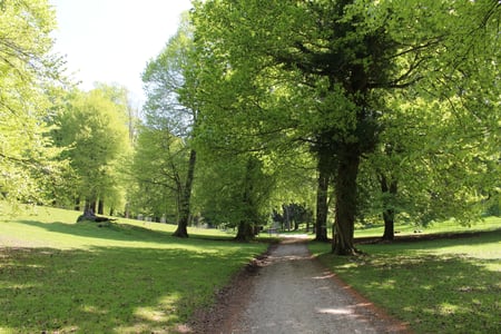 St Roche's Arboretum