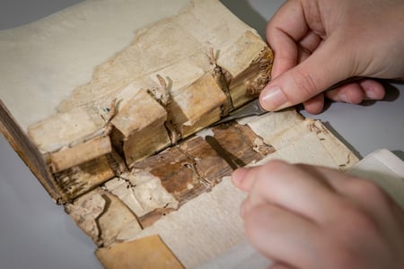 British Library courses 2022. Image credit Chris Ison.