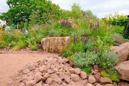 The Medicinal Garden. Image credit Nigel Wood 