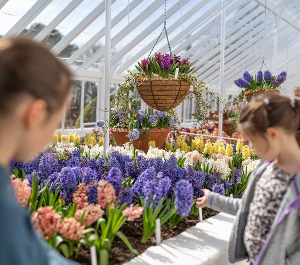 May_Half_Term_Activities