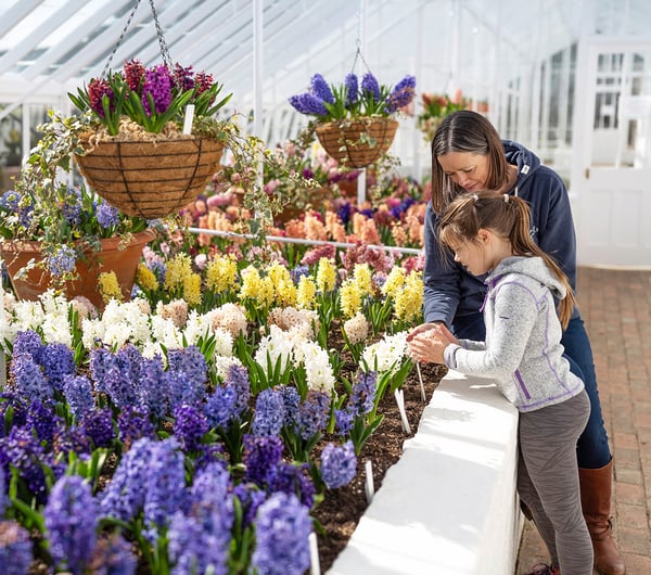 Mothers Day at West Dean Gardens