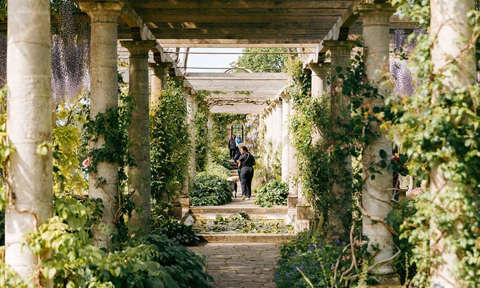 Edwardian Pergola at Sussex Campus with Vines and Wisteria 