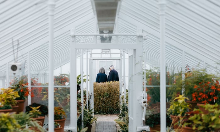 Victorian Glasshouse Sussex Campus with Plants and Tourists
