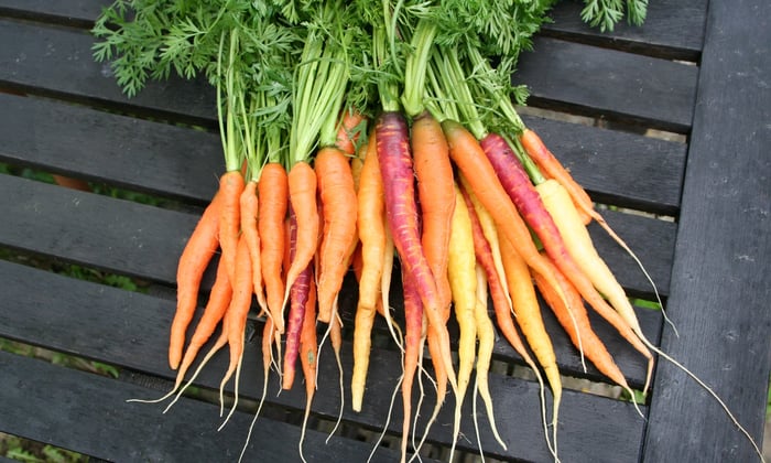 Gardening short courses