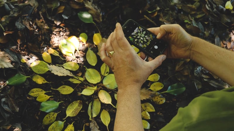 View of a smart phone photographing a mandala made from leaves