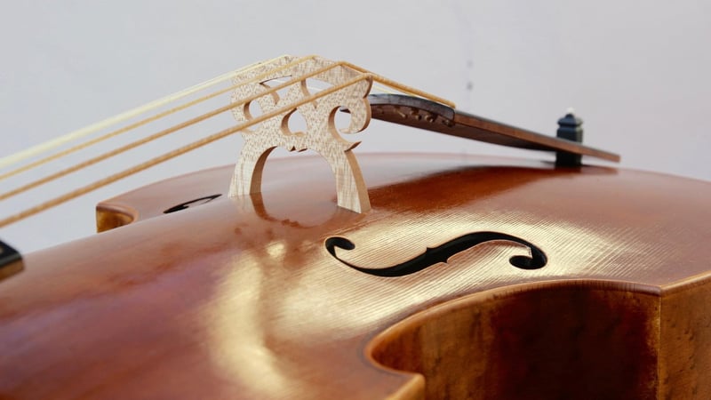 Six strings bass viol after Jacob Stainer 