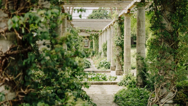 The pergola at West Dean