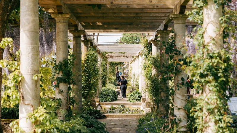 Edwardian Pergola West Dean Sussex Campus in May with Vines and Wisteria