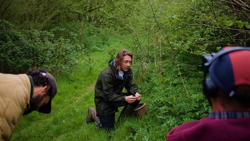 Foraging_Walk_West_Dean_Event