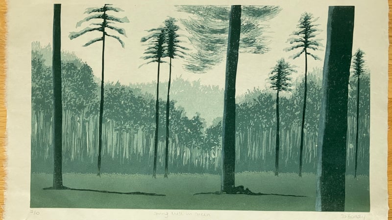 'Spring Mist in Green' 2021. © Jo Boddy