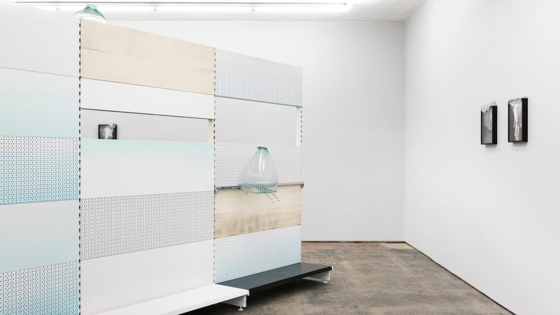 Gabriele Beveridge, Live Dead World installation view at Seventeen Gallery 