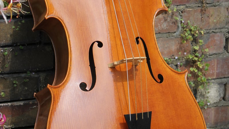 Baroque Cello after Matteo Gofriller 