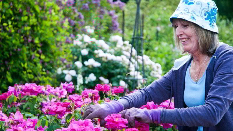 Getting in amongst flower beds at West Dean Gardens