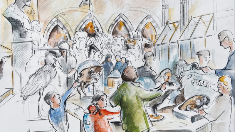 Reportage Drawing Natural History Museum Oxford
