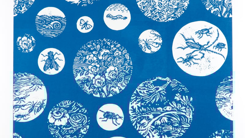 'Brothers Garden', by Tristan Sherwood