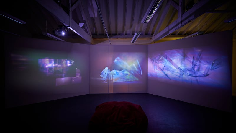 Askild Winkelmann, MFA exhibition 2018. Photo by Barney Hindle 