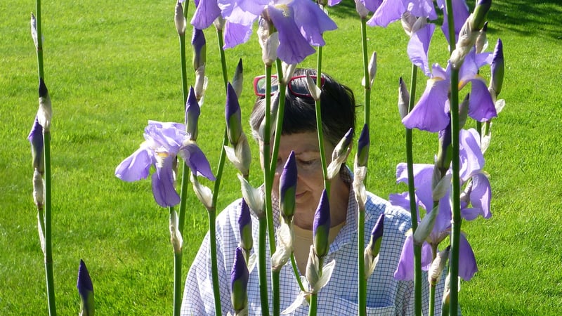 Painting in West Dean Gardens