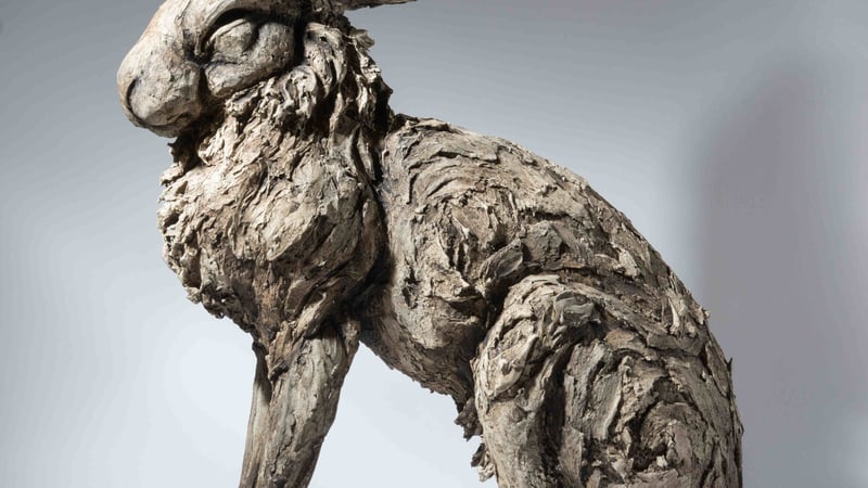 Felicity Lloyd-Coombes: Sitting hare