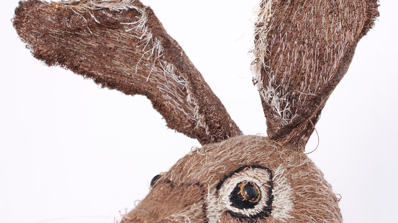 Lindsay Taylor: Hare