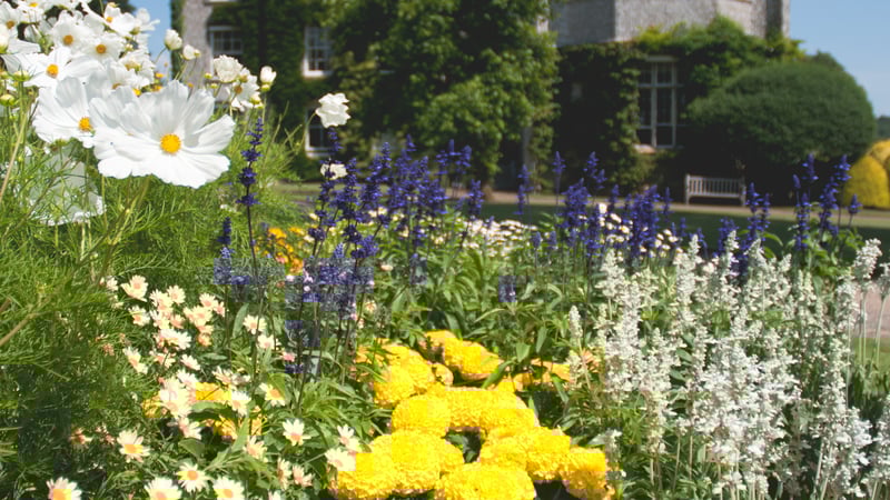 West Dean College of Arts and Conservation, exterior in Summer
