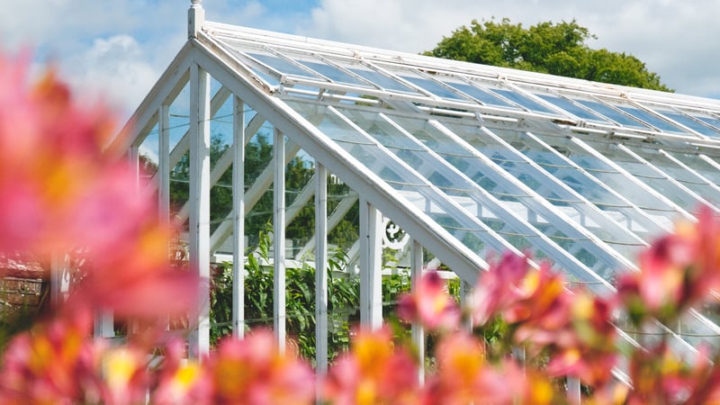 Glasshouse at West Dean Gardens