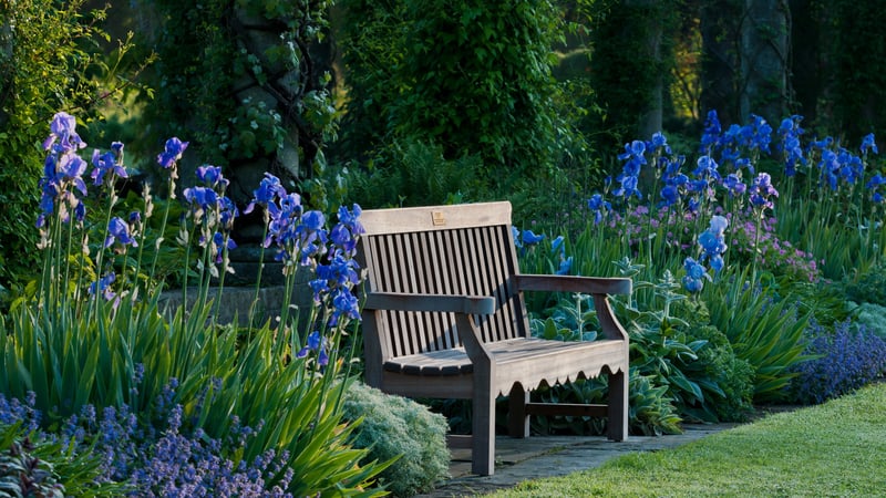 Wooden bench, West Dean Gardens  