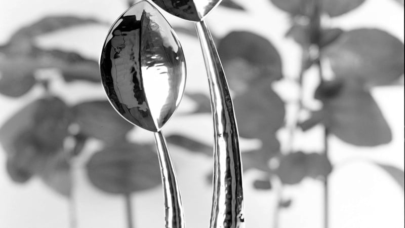 Standing Spoons  Howard Fenn