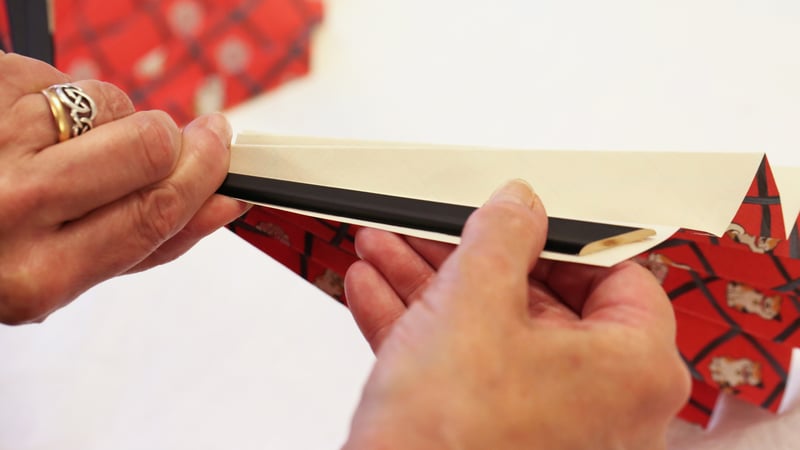 Caroline Allington, Step 5