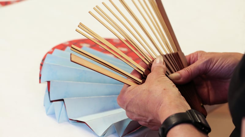 Caroline Allington, Step 4