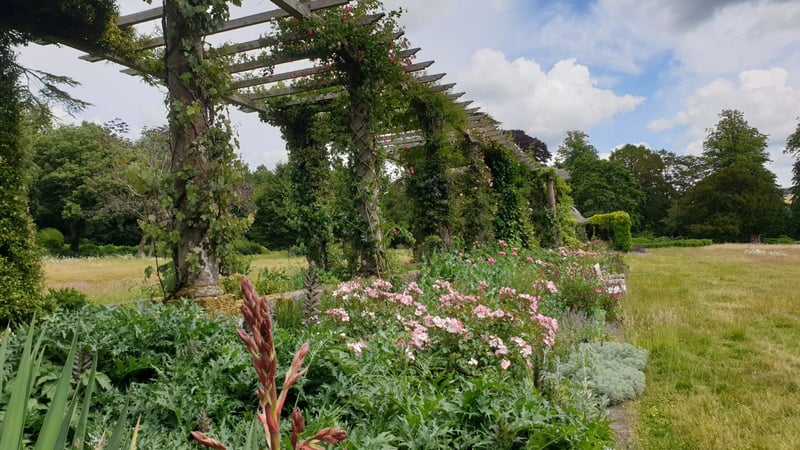 Flowers are beginning to bloom along the Edwardian Pergola 