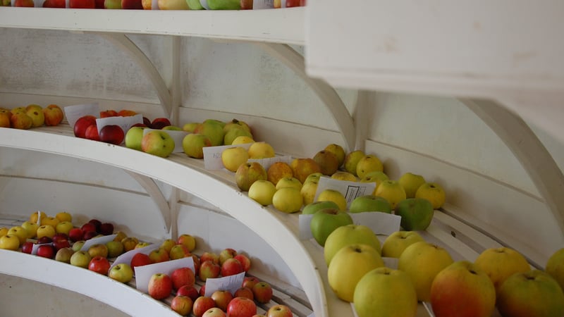 The Apple Store at West Dean Gardens near Chichester