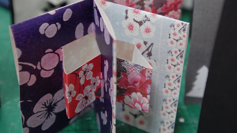 Paul Johnson pop up books