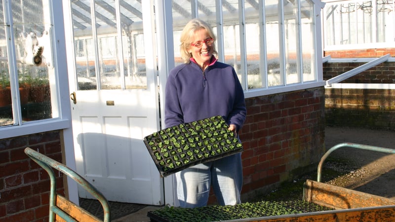 West Dean Gardens Sarah Wain Gardens Supervisor