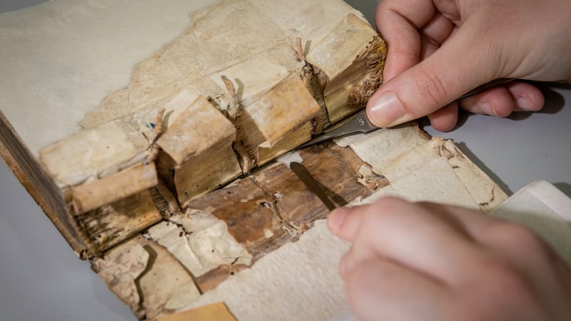 British Library courses 2022. Image credit Chris Ison.