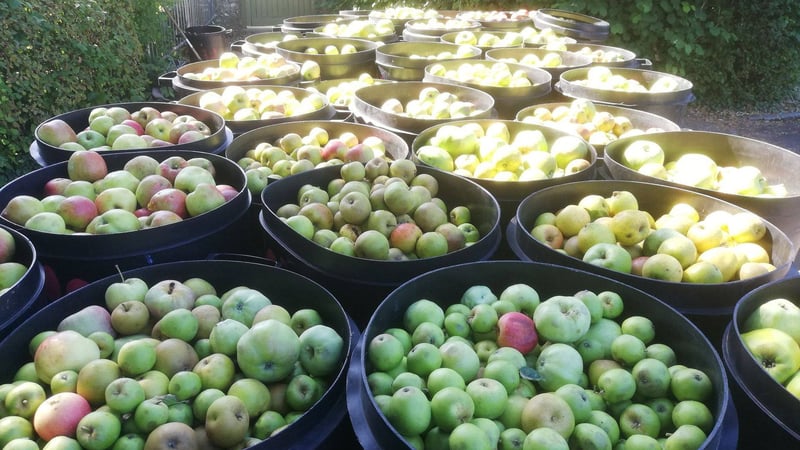 Apples off to HFT