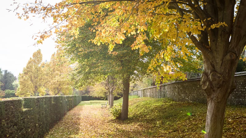 Beautiful West Dean Gardens
