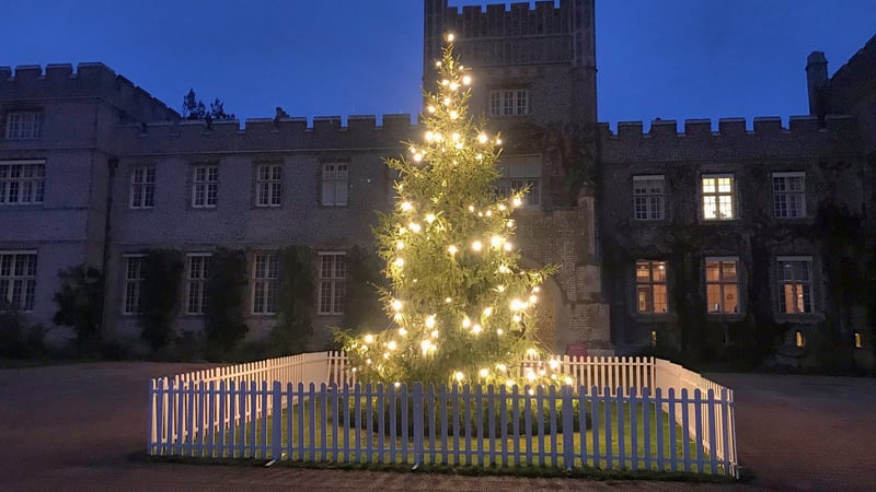 Christmas tree at West Dean College of Arts and Conservation