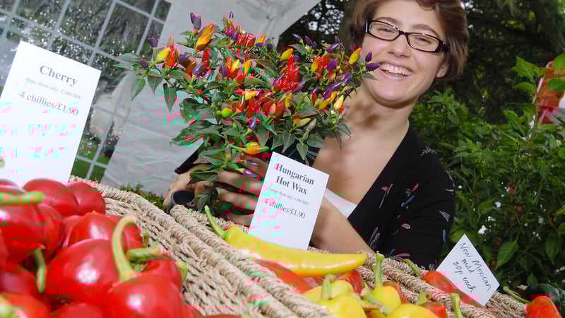 West Dean Chilli Fiesta exhibitor