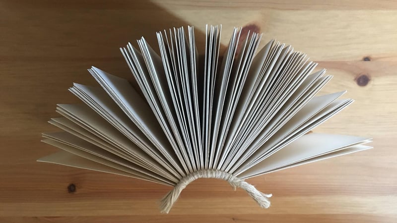 Figure 1: Primary endband with tie-downs on the text block, sans boards.