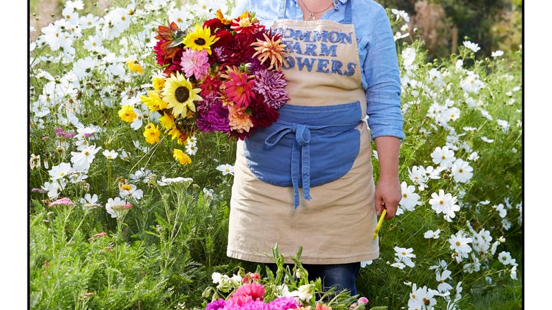 The cut flower patch 18 April 2020 with Georgie Newbery