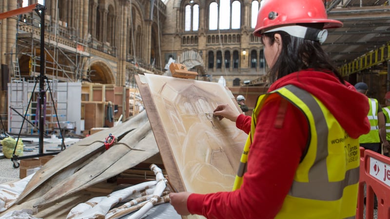 Amanda Beck sketching behind the scenes in Hintz Hall at The Natural History Museum London