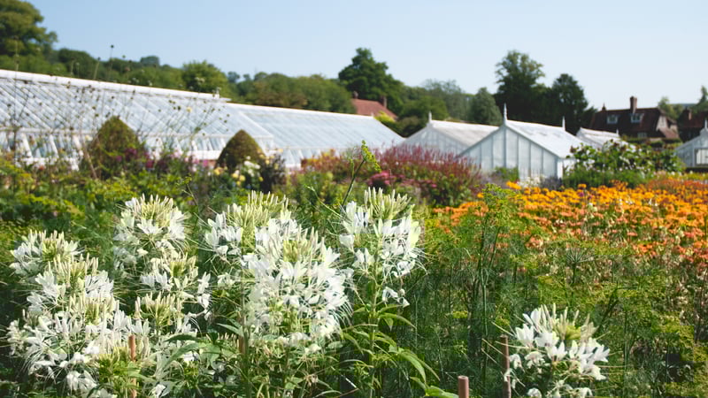 West Dean Gardens